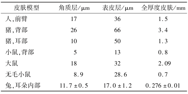 表４ IVPT常用動(dòng)物模型相對(duì)于人的皮膚層厚度