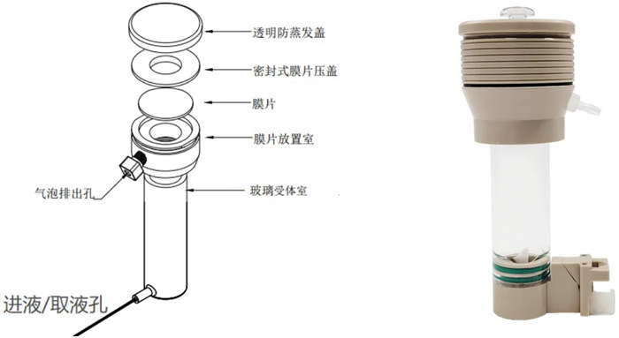 擴散池組成